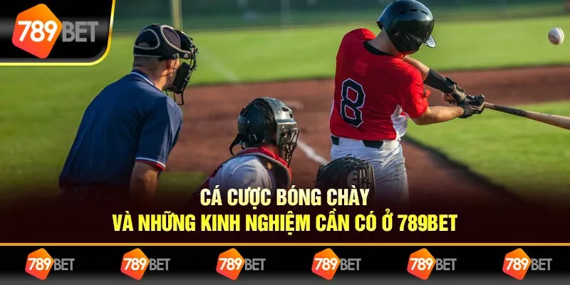 Cá Cược Bóng Chày Và Những Kinh Nghiệm Cần Có Ở 789BET 6 Cá Cược Bóng Chày Và Những Kinh Nghiệm Cần Có Ở 789BET