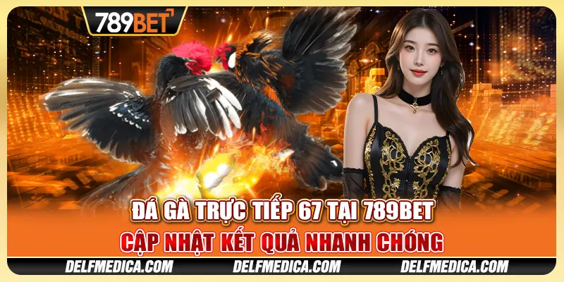 Cược Đá Gà Trực Tiếp 67 Tại 789bet - Cập Nhật Nhanh Chóng
