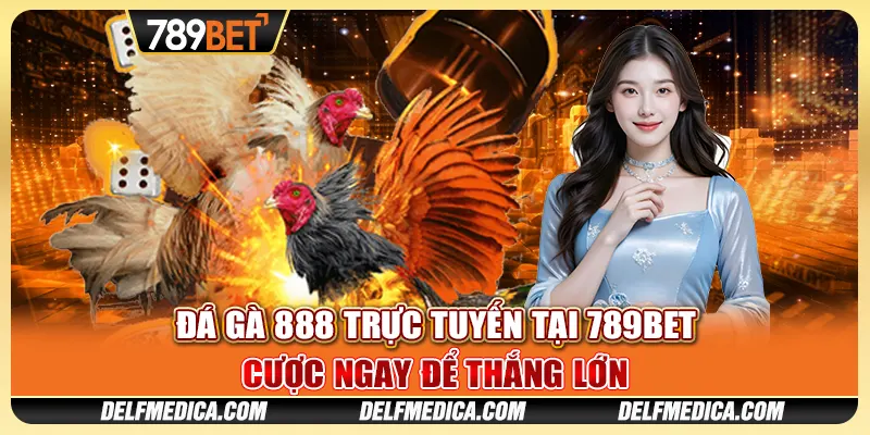 Đá Gà 888 Trực Tuyến Tại 789bet - Cược Ngay Để Thắng Lớn