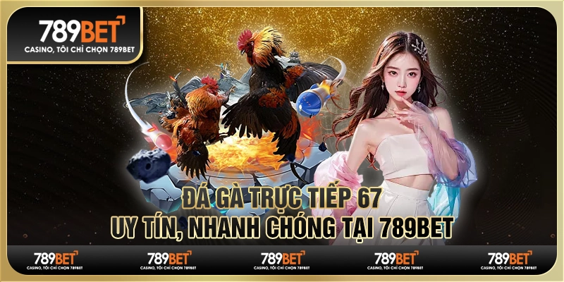 Đá Gà Trực Tiếp 67 Uy Tín, Nhanh Chóng Tại Nhà Cái 789bet