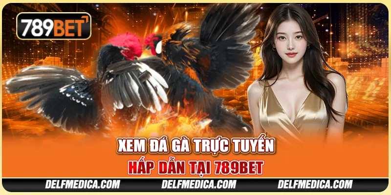 Xem Đá Gà Trực Tuyến Hấp Dẫn Tại Nhà Cái Trực Tuyến 789bet