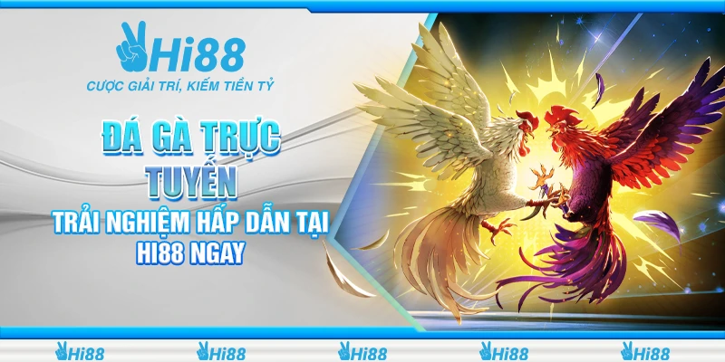 Đá Gà Trực Tuyến - Trải Nghiệm Hấp Dẫn Tại Hi88 Ngay 1 Đá Gà Trực Tuyến - Trải Nghiệm Hấp Dẫn Tại Hi88 Ngay