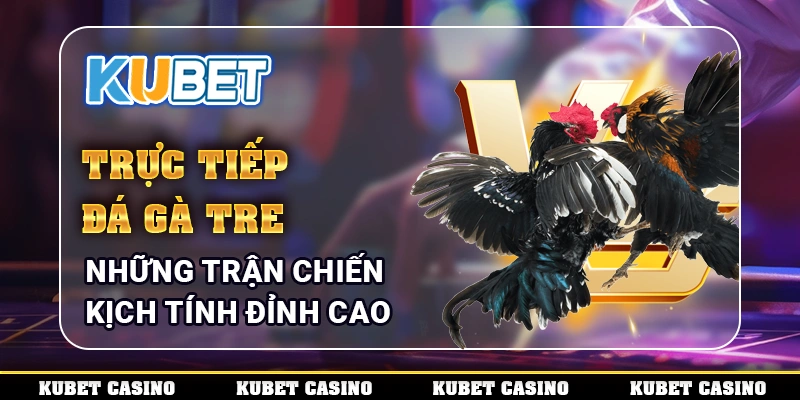 Trực Tiếp Đá Gà Tre - Những Trận Chiến Kịch Tính Đỉnh Cao 1 Những chiến thuật đỉnh cao trong đá gà