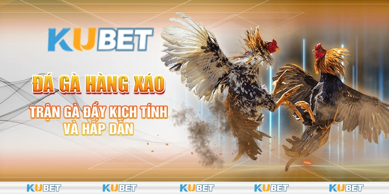 Đá Gà Hàng Xáo