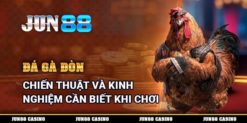 Đá Gà Đòn
