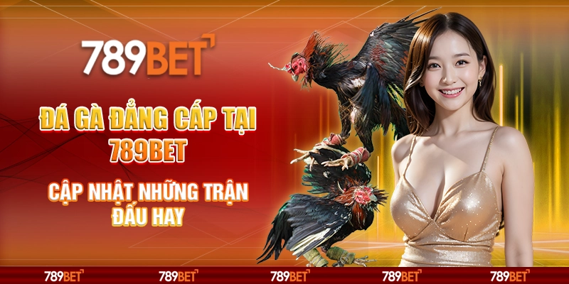 Đá Gà Đẳng Cấp Tại 789bet – Cập Nhật Những Trận Đấu Hay 1 Đá Gà Đẳng Cấp Tại 789bet – Cập Nhật Những Trận Đấu Hay