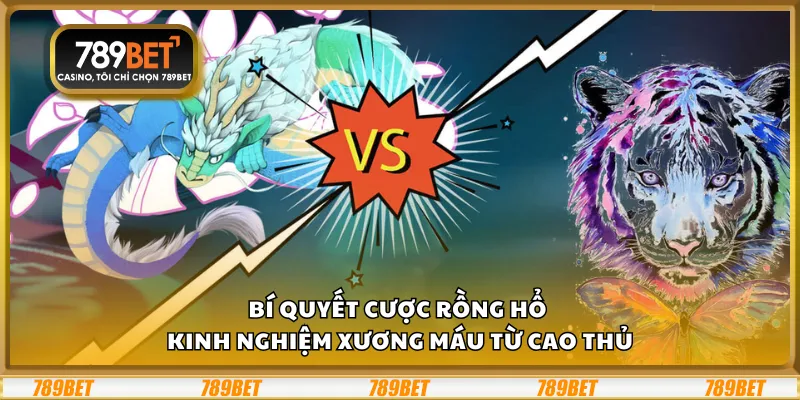 Bí quyết cược Rồng Hổ – Kinh nghiệm xương máu từ cao thủ 8 Bí quyết cược Rồng Hổ – Kinh nghiệm xương máu từ cao thủ