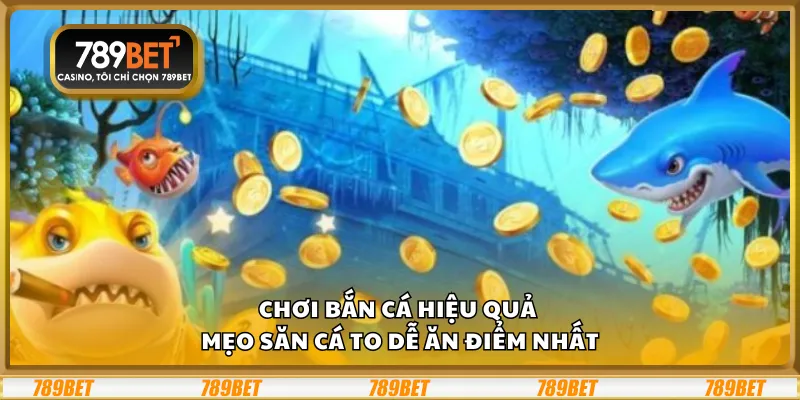 Chơi bắn cá hiệu quả – Mẹo săn cá to dễ ăn điểm nhất 7 Chơi bắn cá hiệu quả – Mẹo săn cá to dễ ăn điểm nhất